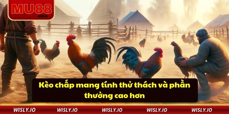 Đá Gà Mu88 Kèo chấp mang tính thử thách và phần thưởng cao hơn